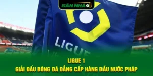 ligue-1-giai-dau-bong-da-dang-cap-hang-dau-nuoc-phap