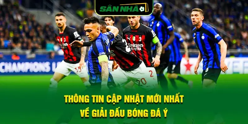 thong-tin-cap-nhat-moi-nhat-ve-giai-dau-bong-da-y