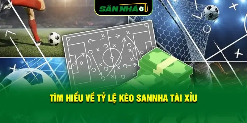 tim-hieu-ve-ty-le-keo-sannha-tai-xiu-